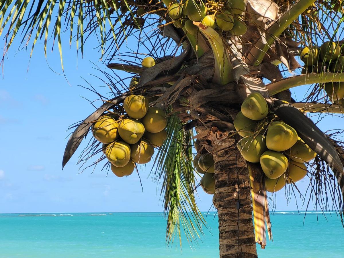 Sun Paradise - Ipioca Maceió エクステリア 写真